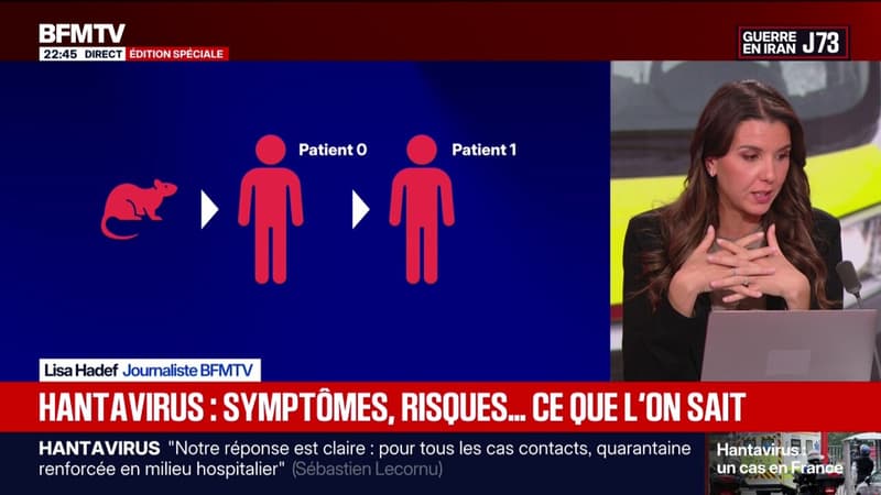 Hantavirus: symptômes, risques, contamination ... Voici ce que l'on sait