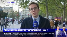 Extinction Rebellion: pour Pacôme Rupin (LaREM), "il faut pouvoir exprimer son opinion, mais il faut le faire dans la légalité"