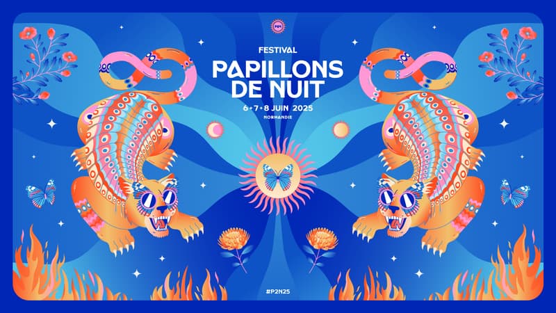 Papillons de Nuit 2025 #P2N