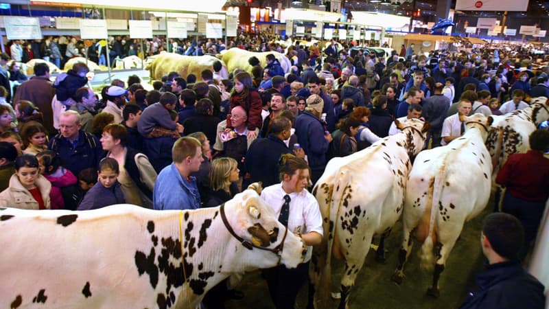 En Île-de-France, "le secteur représente 100.000 emplois et génère 6,3 milliards d'euros par an de retombées économiques (Photo : le Salon de l'Agriculture)