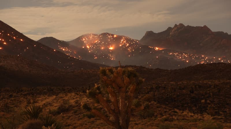 Un important incendie ravage le désert de Mojave, dans l'ouest des États-Unis, le 31 juillet 2023