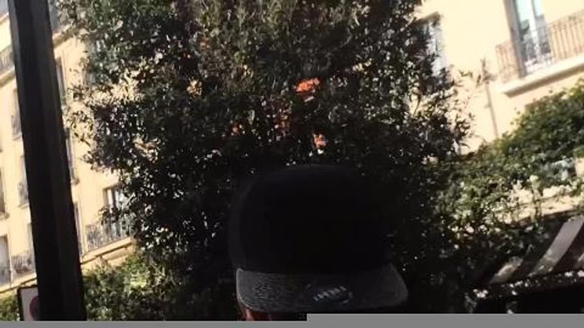 placeholder video