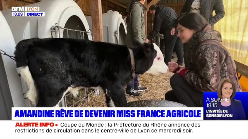 Rhône : Dans les coulisses du déneigement
