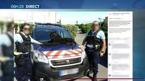 La dangereuse panthère en liberté était en fait... une peluche
