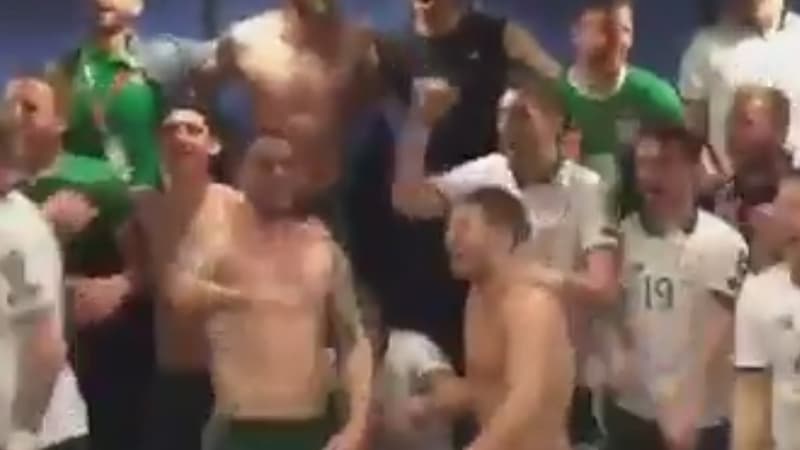 Les joueurs de l'Irlande