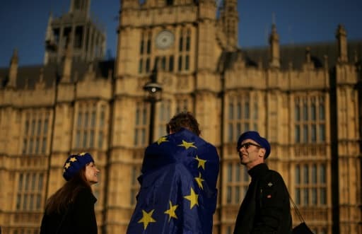 Des manifestants devant le Parlement britannique, le 26 février 2019 à Londres Des manifestants devant le Parlement britannique, le 26 février 2019 à Londres