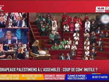 LFI brandit encore un drapeau palestinien à l’Assemblée : "Ils en font un peu beaucoup...", affirme Joëlle Dago-Serry