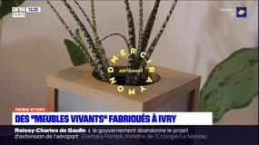 Paris Story: des "meubles vivants" fabriqués à Ivry-sur-Seine 