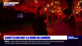 Lumières en Seine de retour au parc de Saint-Cloud