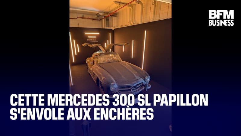 Cette Mercedes 300 SL Papillon s'envole aux enchères