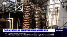 Cap au Nord: le genièvre de Wambrechies