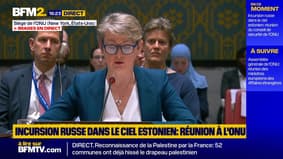 "Nous ne serons pas intimidés": réunion du conseil de sécurité de l'ONU sur l'incursion russe dans le ciel de l'Estonie