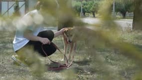 Un chien pris en charge dans un refuge ukrainien, septembre 2023 