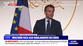 Lors de ses vœux aux boulangers, Emmanuel Macron se dit "mobilisé à leurs côtés"