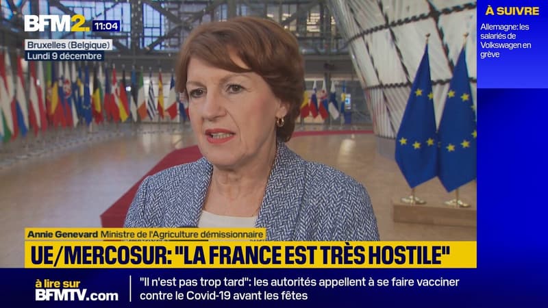 Accord signé UE-Mercosur: la ministre de l'Agriculture rappelle 