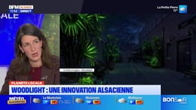 Planète locale du mercredi 9 octobre - Des plantes pour remplacer l'éclairage urbain