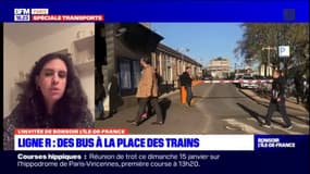 "J'avais envie de pleurer pour un simple retard": les usagers des transports franciliens sont à bout