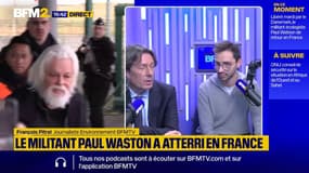 Paul Watson libre : les raisons de son retour en France 