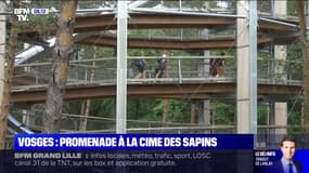 C'est vos vacances: une promenade en hauteur à la cime des sapins des Vosges