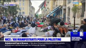 Nice: une centaine de manifestants présents en soutien à la Palestine