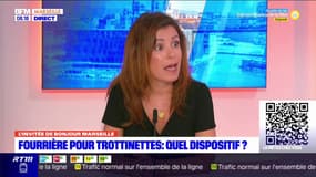 Marseille: la mairie veut faire des opérations de fourrière pour les trottinettes électriques