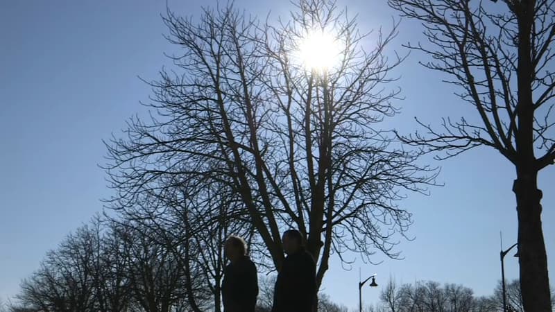 Les températures sont particulièrement douces en Provence pour un mois de décembre.