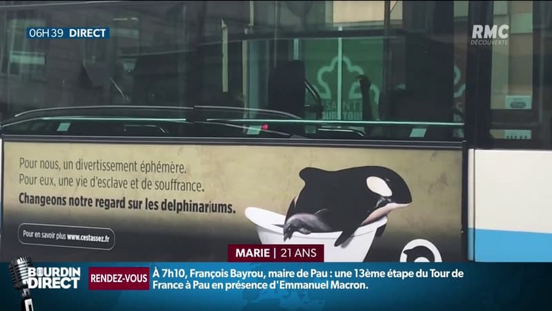 Un panneau sur un bus niçois