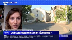 Canicule : quel impact sur l'économie ? - 26/08