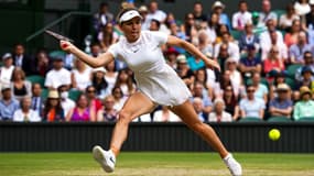 S. Halep
