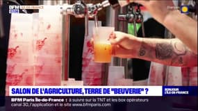 Salon de l'agriculture: quand les stands deviennent le théâtre de beuveries