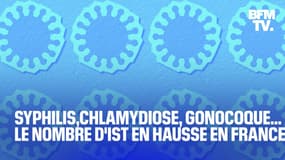 Syphilis,chlamydiose, gonocoque... Le nombre d'IST en hausse en France 