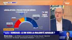 7 MINUTES POUR COMPRENDRE - Législatives: le RN et ses alliés vont-ils obtenir la majorité absolue?