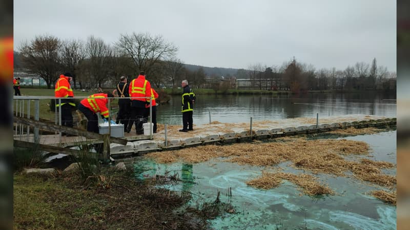 Seine-Maritime: le plan d'eau de Montville pollué vraisemblablement volontairement