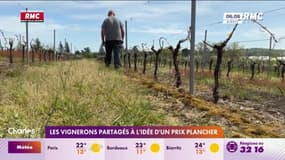 Un prix plancher pour la filière viticole ? Les avis divergent