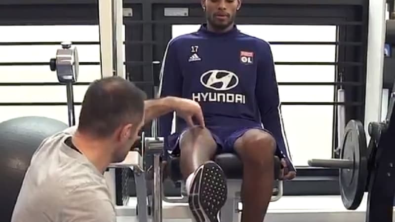 Jeff Reine-Adélaïde