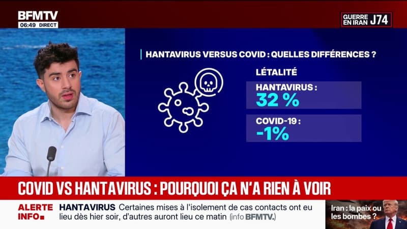 Pourquoi la situation de l'hantavirus n'a rien à voir avec celle du Covid-19