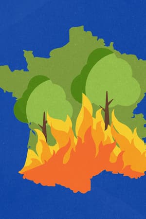 CARTE. La météo des forêts: quels sont les risques d'incendie près de chez vous?