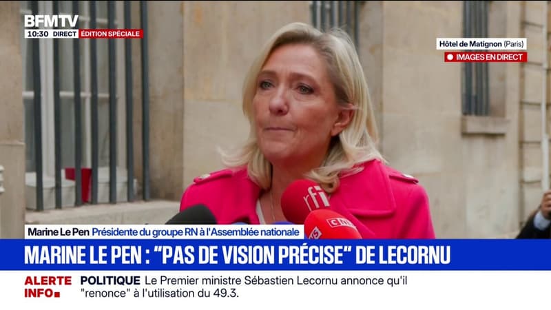 Renoncement au 49.3: 