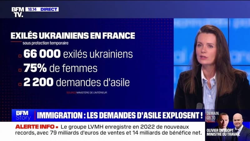 Les chiffres clés de l'immigration en France dévoilés par le ministère de l'Intérieur