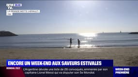 Plus de 20°C dans le sud: encore un week-end aux saveurs estivales en plein mois de novembre