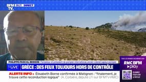 "C'est compliqué de mettre un dispositif préventif" européen pour lutter contre les incendies, affirme Philippe-Pascal Besson (ancien colonel sapeur-pompier) 