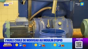 Alpes-Maritimes: l'huile d'olive coule de nouveau au moulin d'Opio