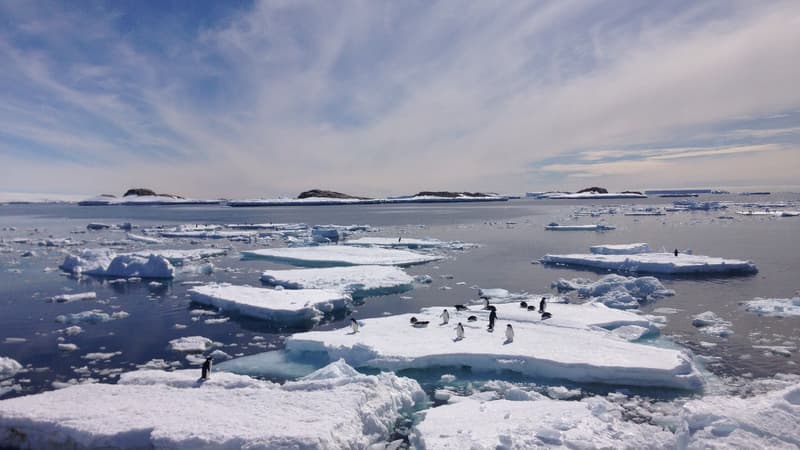 Des morceaux de banquise en Antarctique