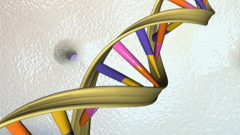 La plupart des maladies rares sont d'origine génétique, et pour la majorité, il n'existe aucun traitement. (Photo d'illustration)