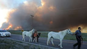 Des habitants et leurs chevaux fuient la région de Colorado Springs.