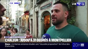 "On a eu pas mal de monde en terrasse": à Montpellier, le thermomètre est monté jusqu'à 31°C ce jeudi 