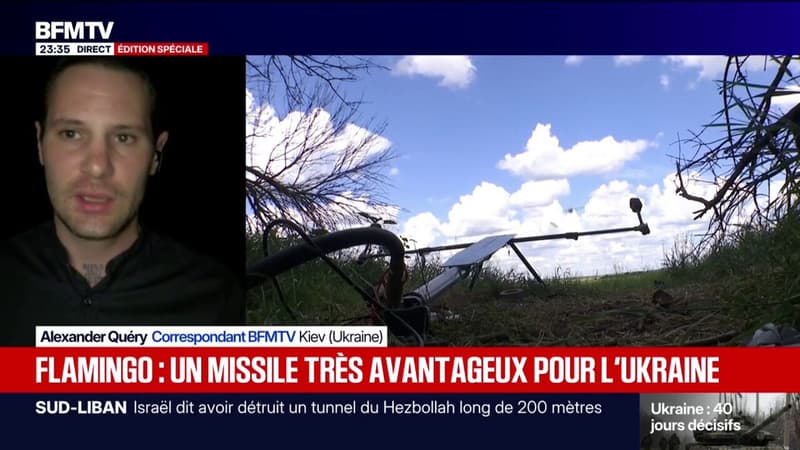 Le "Flamingo": un missile très avantageux pour l'Ukraine face à la Russie
