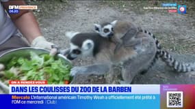 Le Parc Animalier de la Barben nous ouvre ses portes