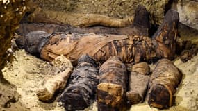40 momies datant de la dynastie ptolémaïque d'origine grecque ont été dévoilées par l'Égypte samedi 2 février 2019