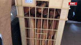 "C’est le coup de massue": privée de gaz, cette boulangerie d'Alès est menacée de fermeture